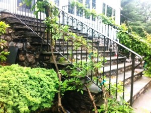 2-Rail Iron Railing