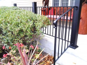 Wrought Iron Railing
