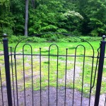 2-Rail Iron Walk Gates