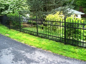 4-Rail Iron Fence