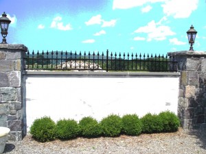 Iron Fence with Finials