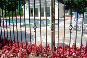 Iron Fence with Collars