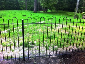2-Rail Iron Fence