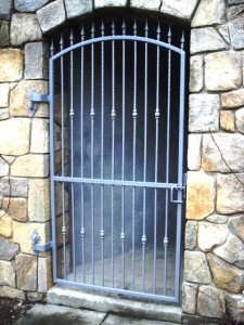 Iron Fence with Collars